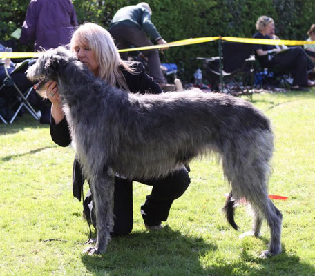 KILBOURNE JENIFER JUPITER AT GREYFLAX